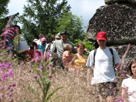 Purzelkampweg, &copy; Waldviertel Tourismus