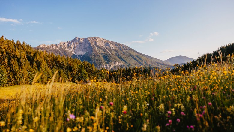 Nestelberg 17 (c)Marlene Schindlegger (49), © Sabine Wieser