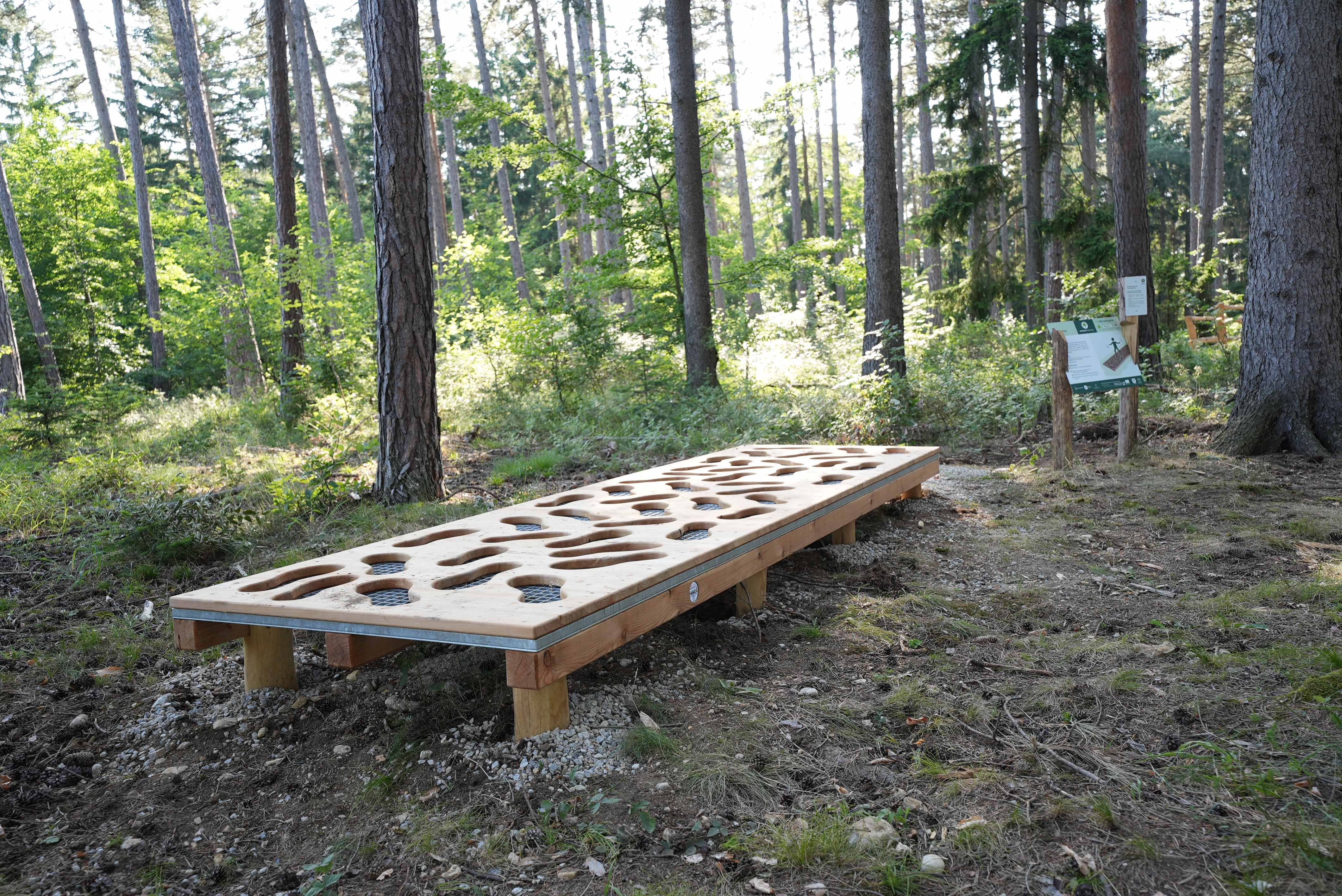 Lyukas faplatform a göttweigi erdőben.