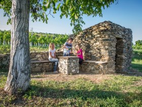 Weinweg 5, &copy; Robert Herbst /  www.pov.at