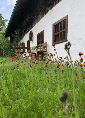 Vendégház a Gföhlerwaldban