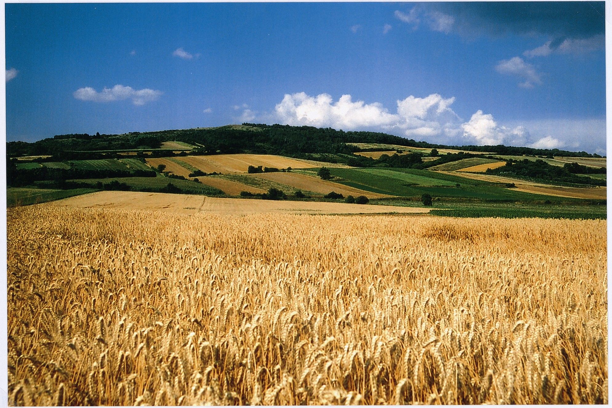 Waschberg(c)Gde Leitzersdorf
