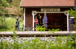 Inmitten der üppigen Natur stehen Radfahrer entspannt an der Haltestelle der Waldviertelbahn. Die sanften Hügel und das Spiel des Lichts zwischen den Bäumen schaffen eine einladende Atmosphäre für Abenteuerlustige. Hier beginnt die Erkundung der malerischen Landschaften des Granittrails.