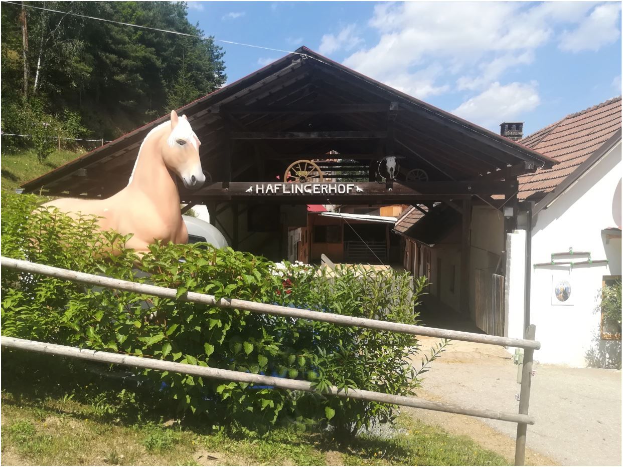 A Haflingerhof bejárata a lószoborral és a fából készült tetővel.