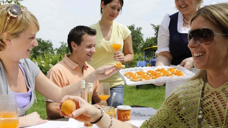 Emberek csoportja egy szabadt&eacute;ri s&aacute;rgabarackterm&eacute;k-k&oacute;stol&oacute;n.