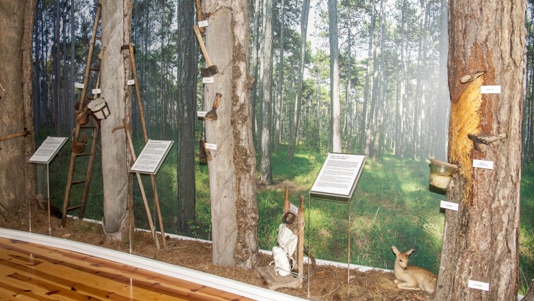 Pitch Museum, &copy; Corinna Pernitsch