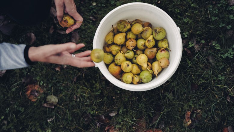 Pihringer's Moststub'n, © Moststraße, dochbodnliacht