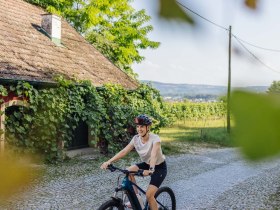 A Rohrendorfi pincesoron, &copy; Donau N&Ouml;/Mara Hohla