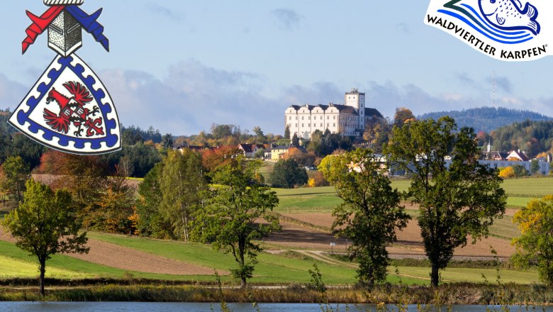 F&uuml;rstenberg fish, &copy; Sabine Prei&szlig;l