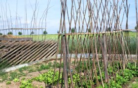 Fire-Earth Garden, &copy; Natur im Garten/Alexander Haiden