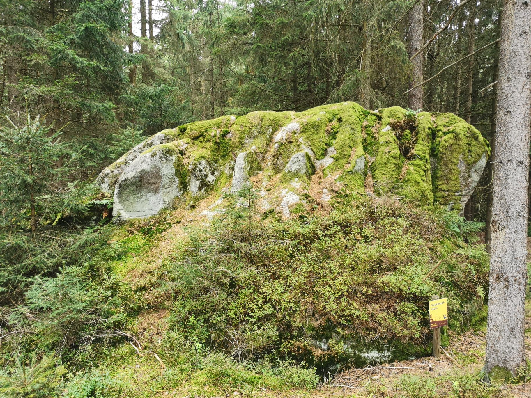 Gugelhupfstein közelében Eberweis