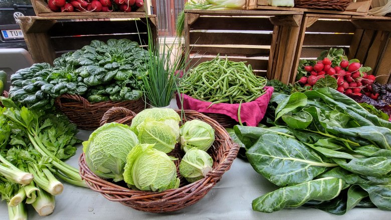 Vegetables directly from the VFeld, &copy; Verena Schnatter