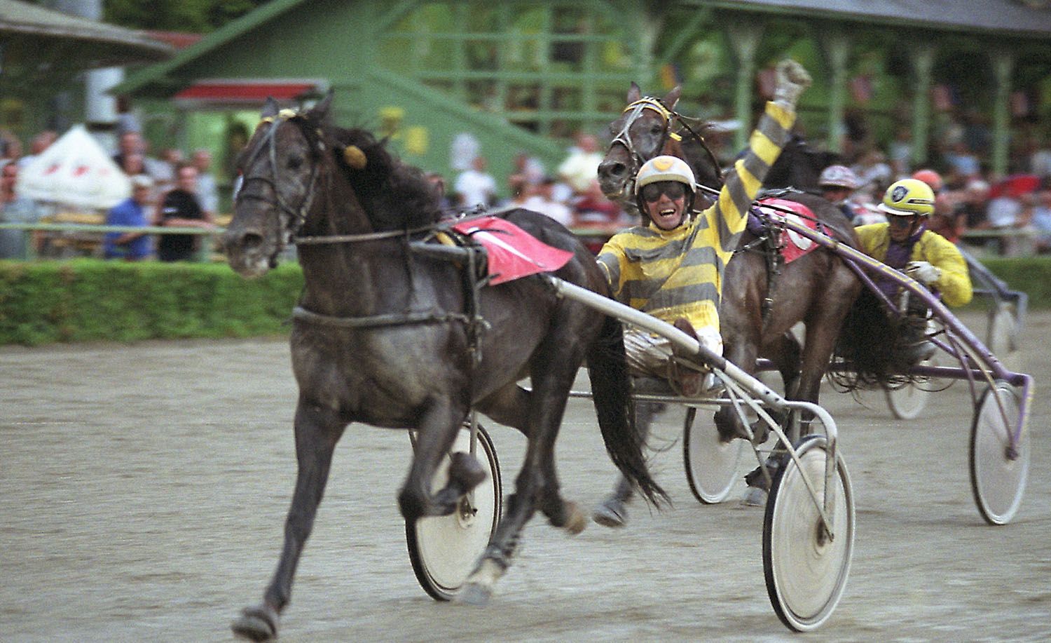 Baden Trotting Club