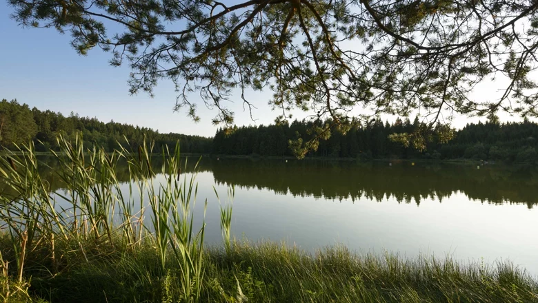 Sky pond near Ottenschlag, &copy; Matthias Schickhofer