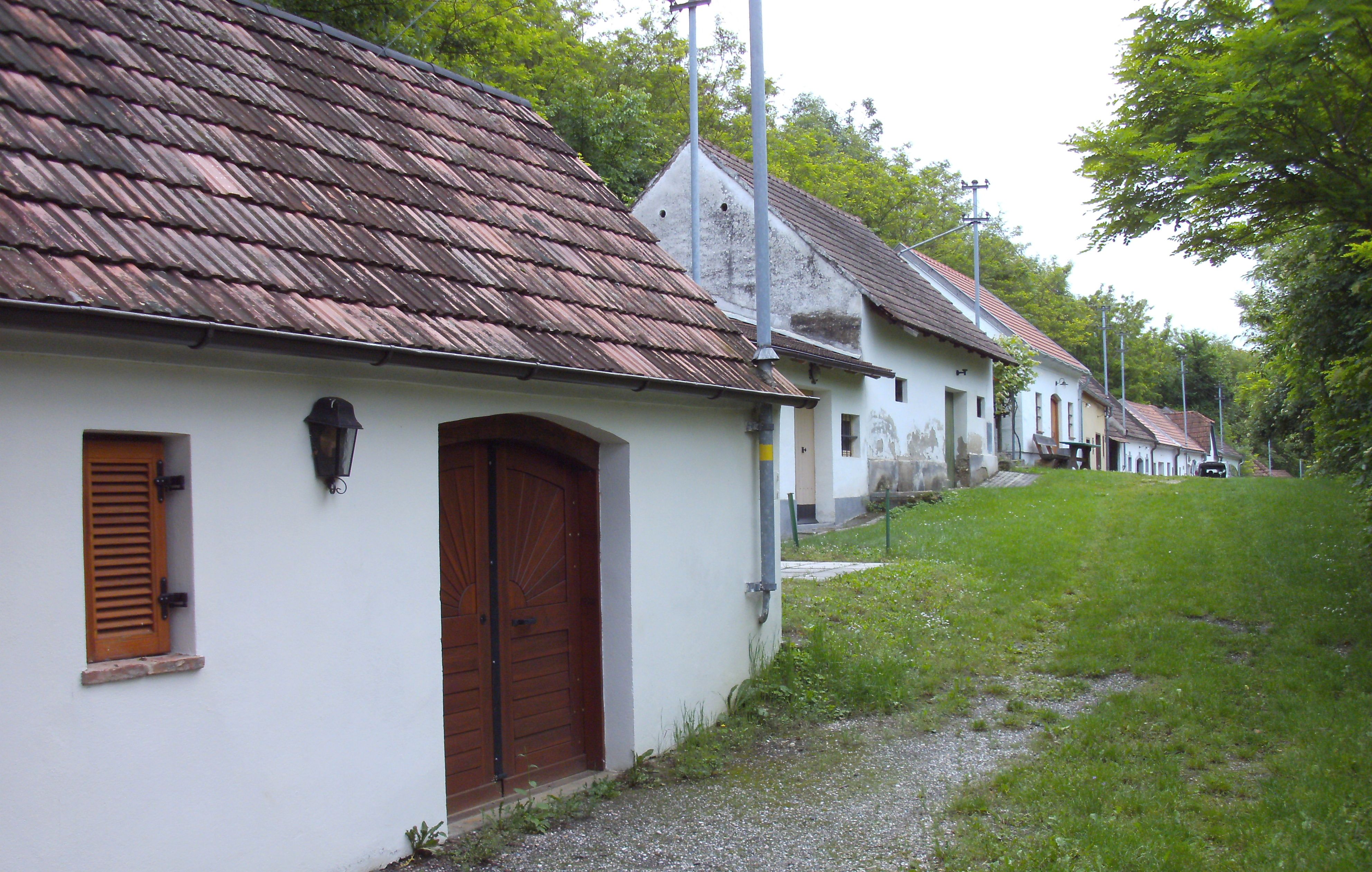 Borospincék sora zöld környezetben Absdorfban.