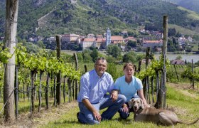 Winery-Sigl, &copy; Familie Sigl