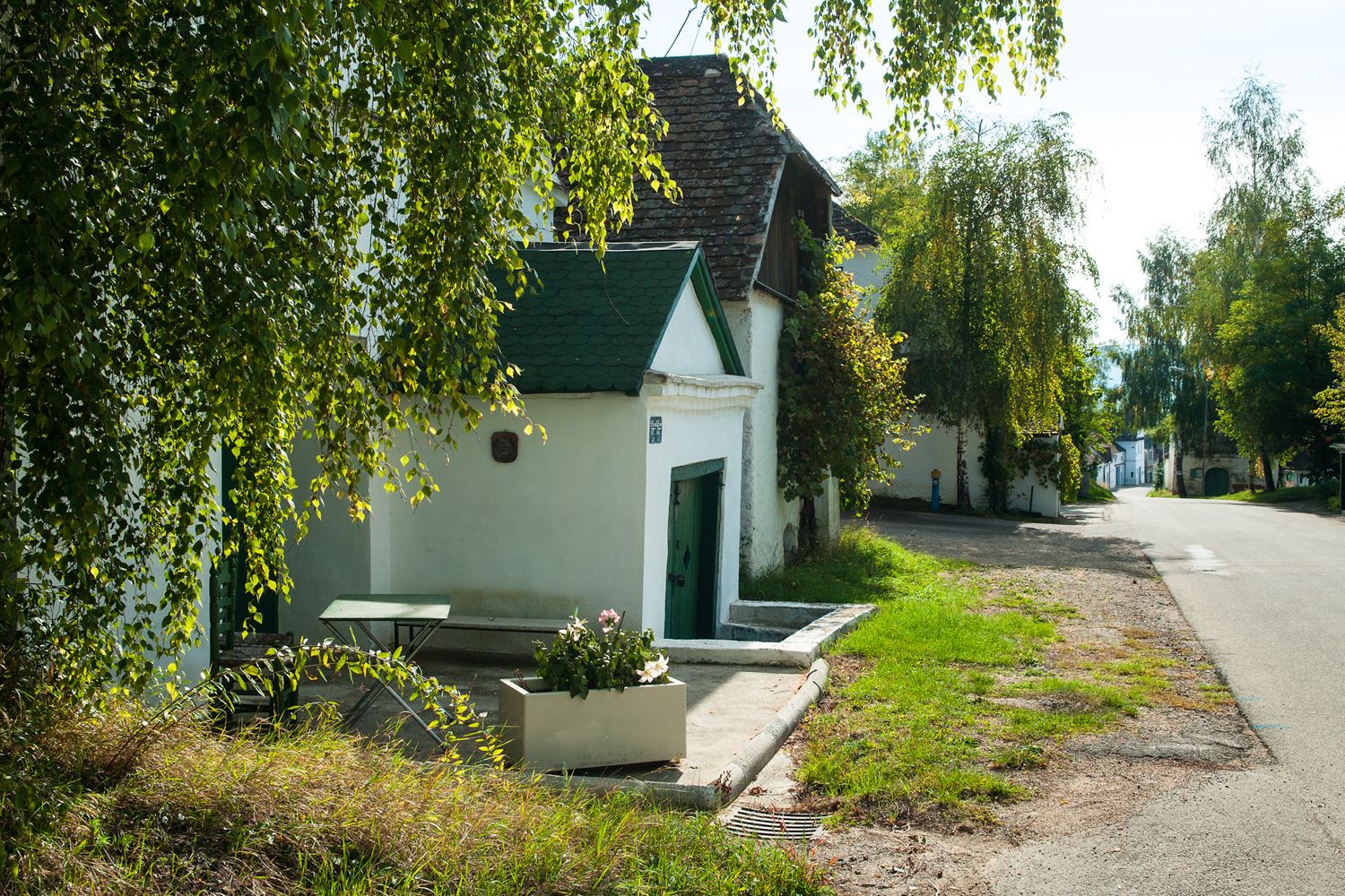 Csendes pincesor fehér épületekkel és zöld ajtókkal, fákkal és növényekkel körülvéve.