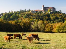 Burg Bernstein, &copy; Unknown