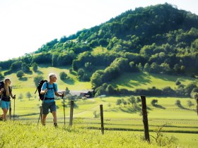 &Uacute;tvonal a Kirchberg an der Pielach-i Szent Andr&aacute;s-templomhoz, &copy; weinfranz.at