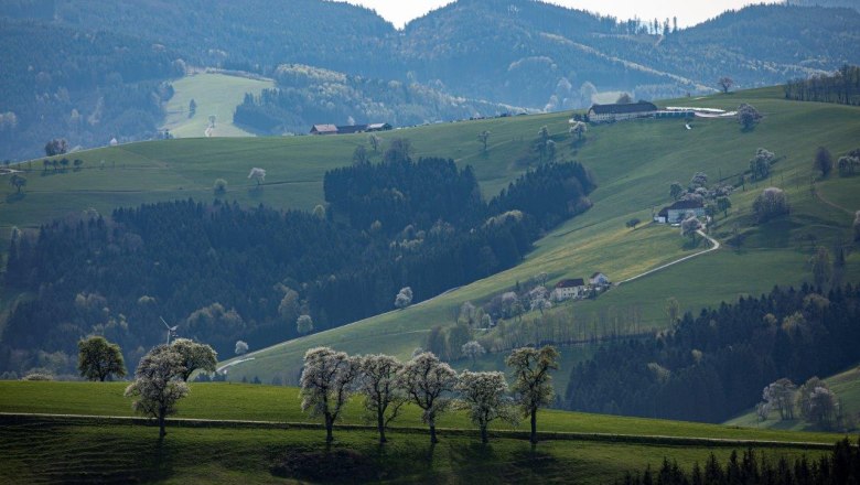 Photo point Mostviertel, &copy; schwarz-koenig.at