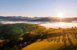 Die sanften Hügel des Mostviertels erstrahlen im warmen Licht der Herbstsonne, während der Nebel sanft über die Täler zieht. Diese malerische Landschaft lädt dazu ein, die frische Luft zu genießen und die Ruhe der Natur zu erleben.