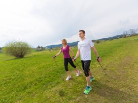 Xundw&auml;rts-Routen Moorbad Harbach-Gelb 5, &copy; Xundheitswelt