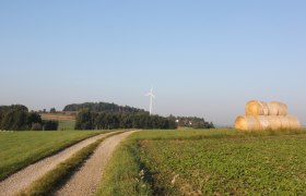 Grabenwanderung nach Litschgraben, Nr. 43, &copy; Stadtgemeinde Gf&ouml;hl