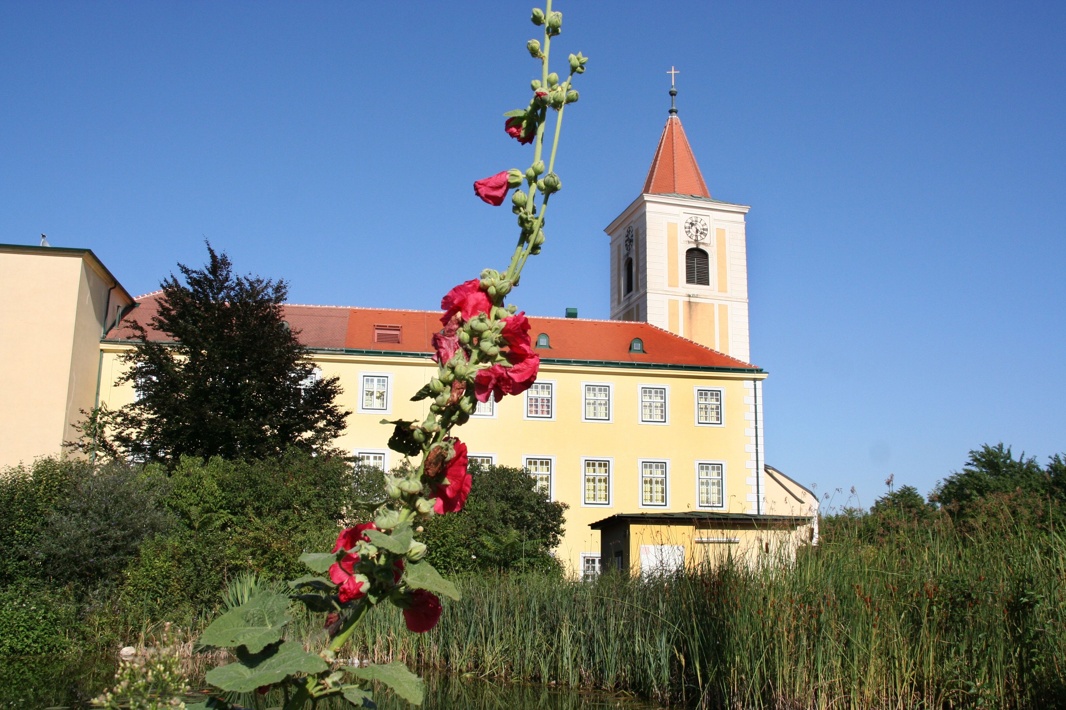 Szent András-templom, előtérben piros virághajtással.