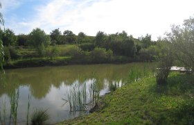 Wetland biotope in Nappersdorf, &copy; Marktgemeinde Nappersdorf-Kammersdorf