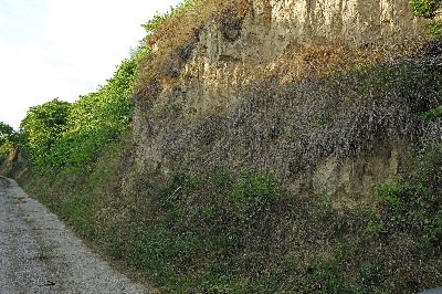 preview_wag_hammergraben_cjosefstefan_281c1c1197, &copy; josefstefan