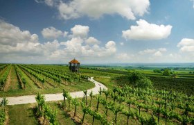 UNEINGESCHRAENKTE NUTZUNG_OeWM_Marcus-Wiesner_noe_wagram_fals_hammergraben_jpg Kleiner, &copy; Marcus Wiesner