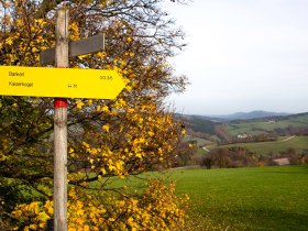 Wegweiser Plambacheck, &copy; Gemeinde Hofstetten-Gr&uuml;nau