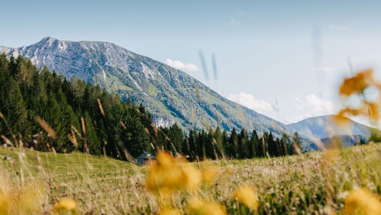 Nestelberg 17 (c)Marlene Schindlegger (39), © Sabine Wieser