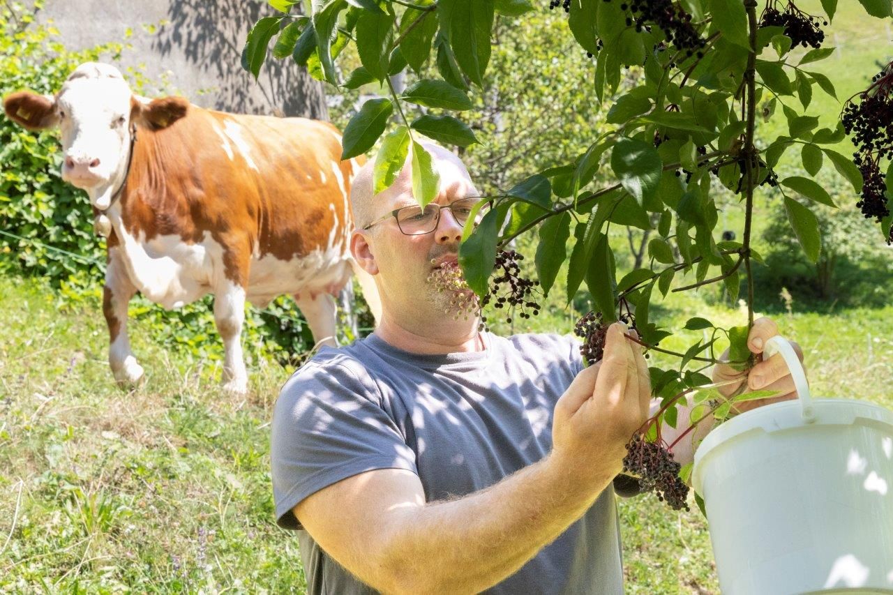 Schlangenreith biogazdaság