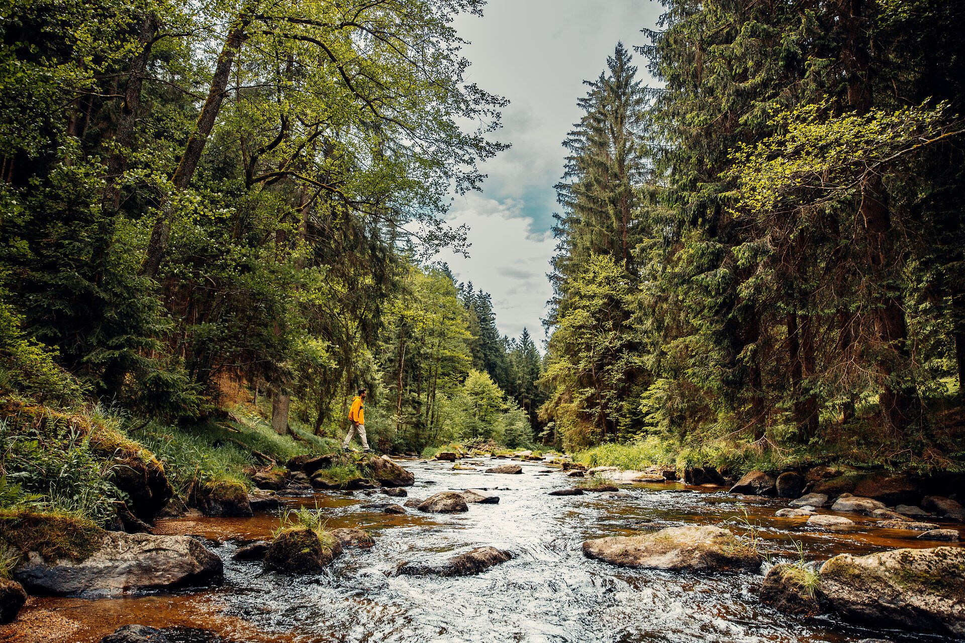 Ein sanfter Fluss schlängelt sich durch eine üppige, grüne Landschaft, umgeben von hohen, majestätischen Bäumen. Das Licht bricht durch das Blätterdach und zaubert ein Spiel aus Schatten und Licht auf den Boden. Hier, in der Stille der Natur, findet man den perfekten Ort für eine Auszeit und um die Schönheit der Umgebung zu genießen.