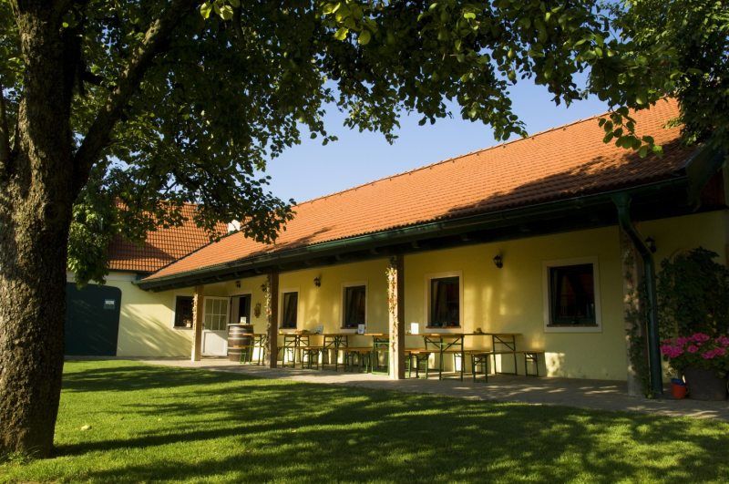 Borozós kocsmakert sárga épülettel, piros tetőcseréppel és zöld réttel.