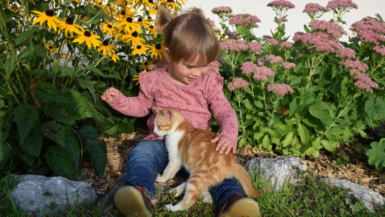 Vacation at the farm Höbarten (4), © Höbarten