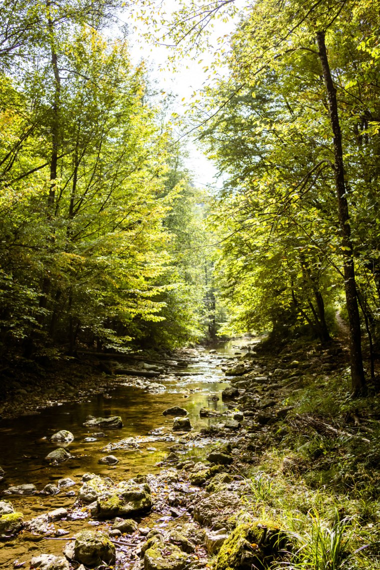 A Schwechat meglapulása., © Niederösterreich Werbung/Robert Herbst