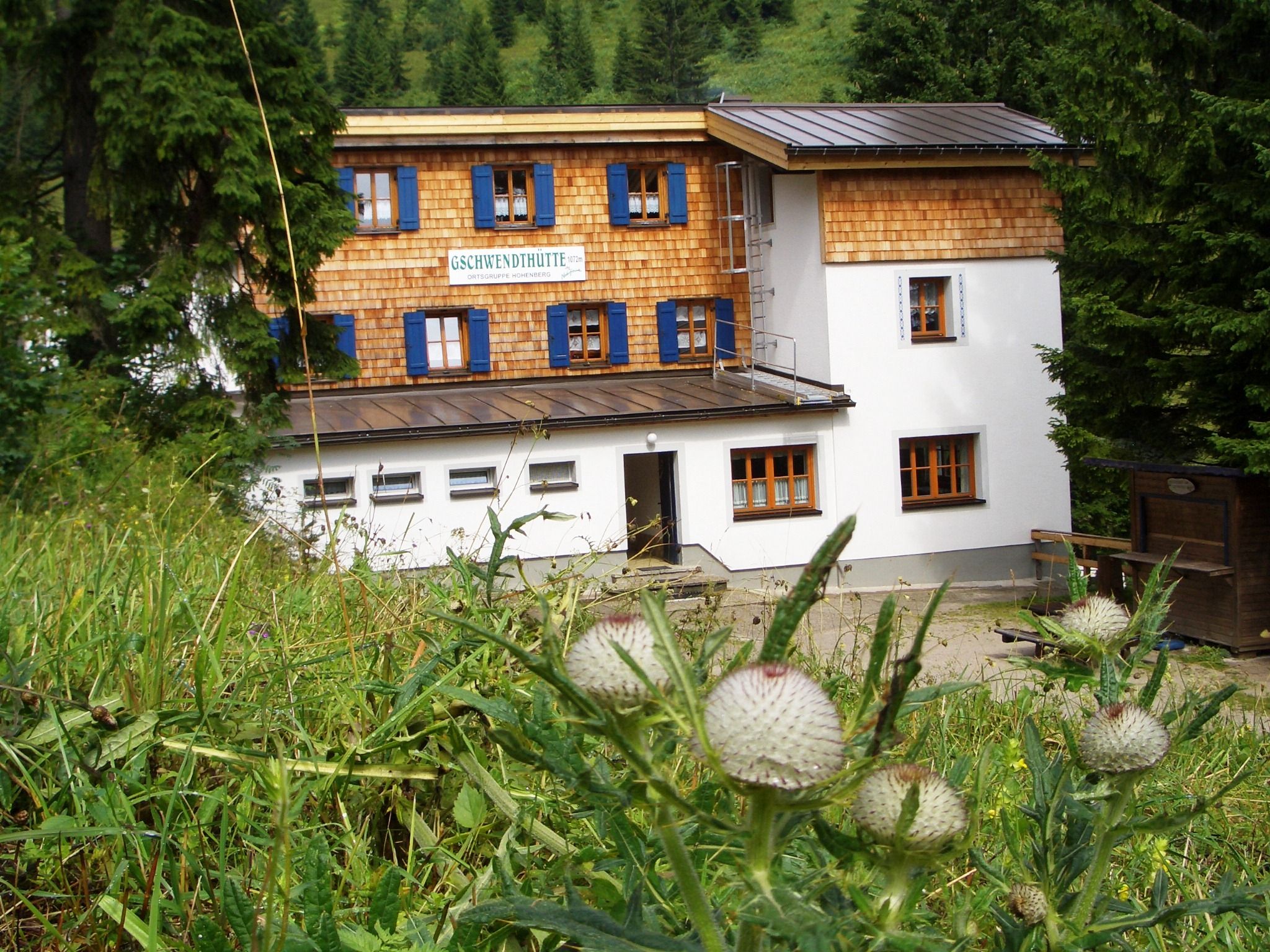 Gschwendthütte Hohenbergben, zöld természettel és fákkal körülvéve.