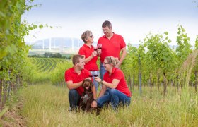 Organic winery Raser-Bayer, H&ouml;flein, &copy; Raser-Bayer