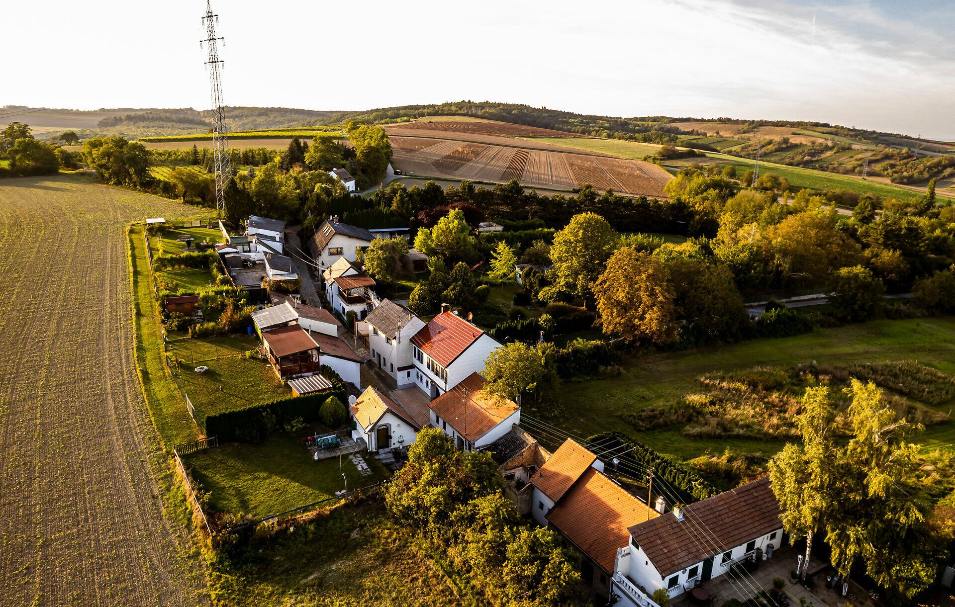 Kellerkatzenweg Hollabrunn