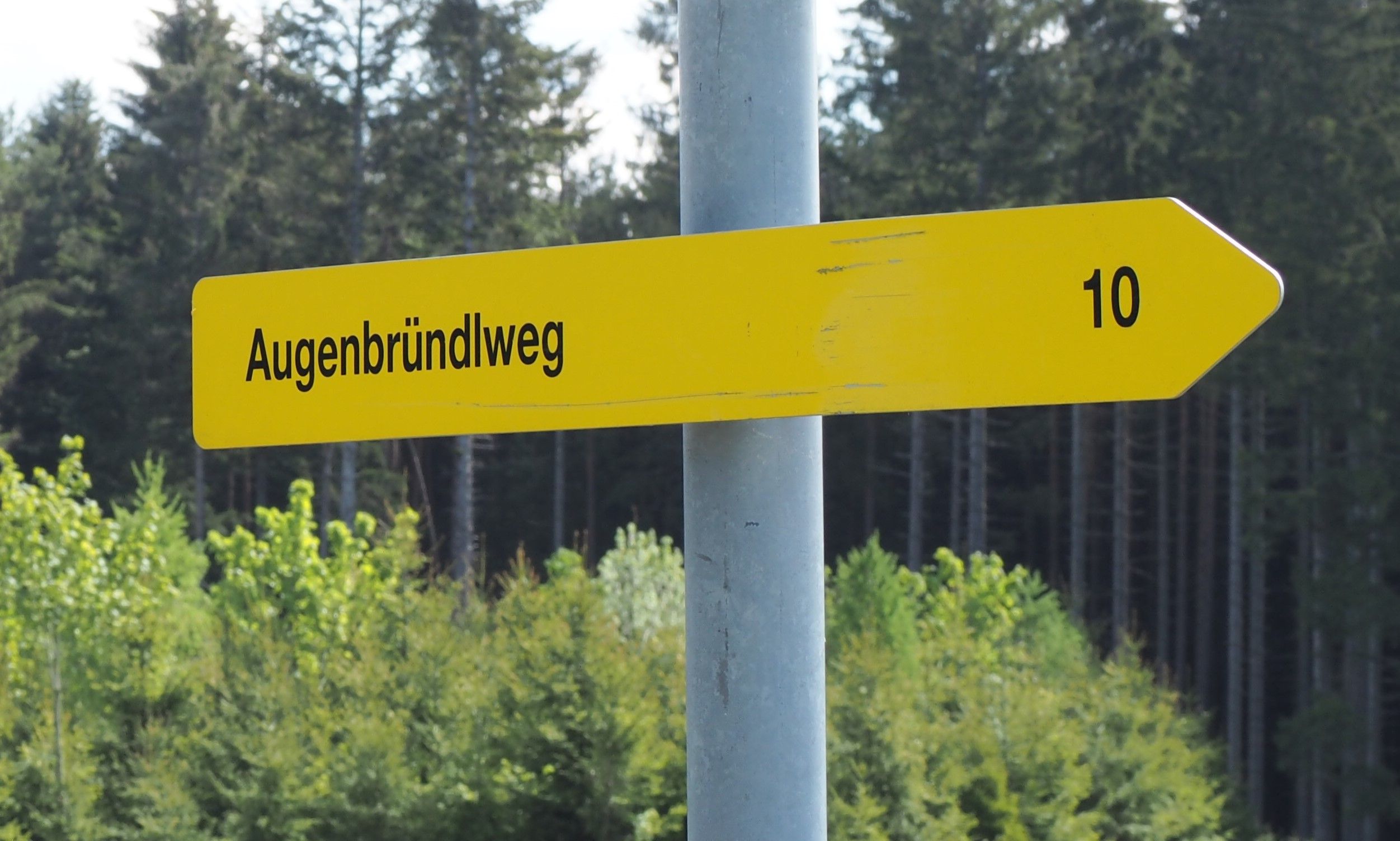 Sárga útjelző tábla "Augenbründlweg" felirattal és a "10" számmal erdei háttér előtt.