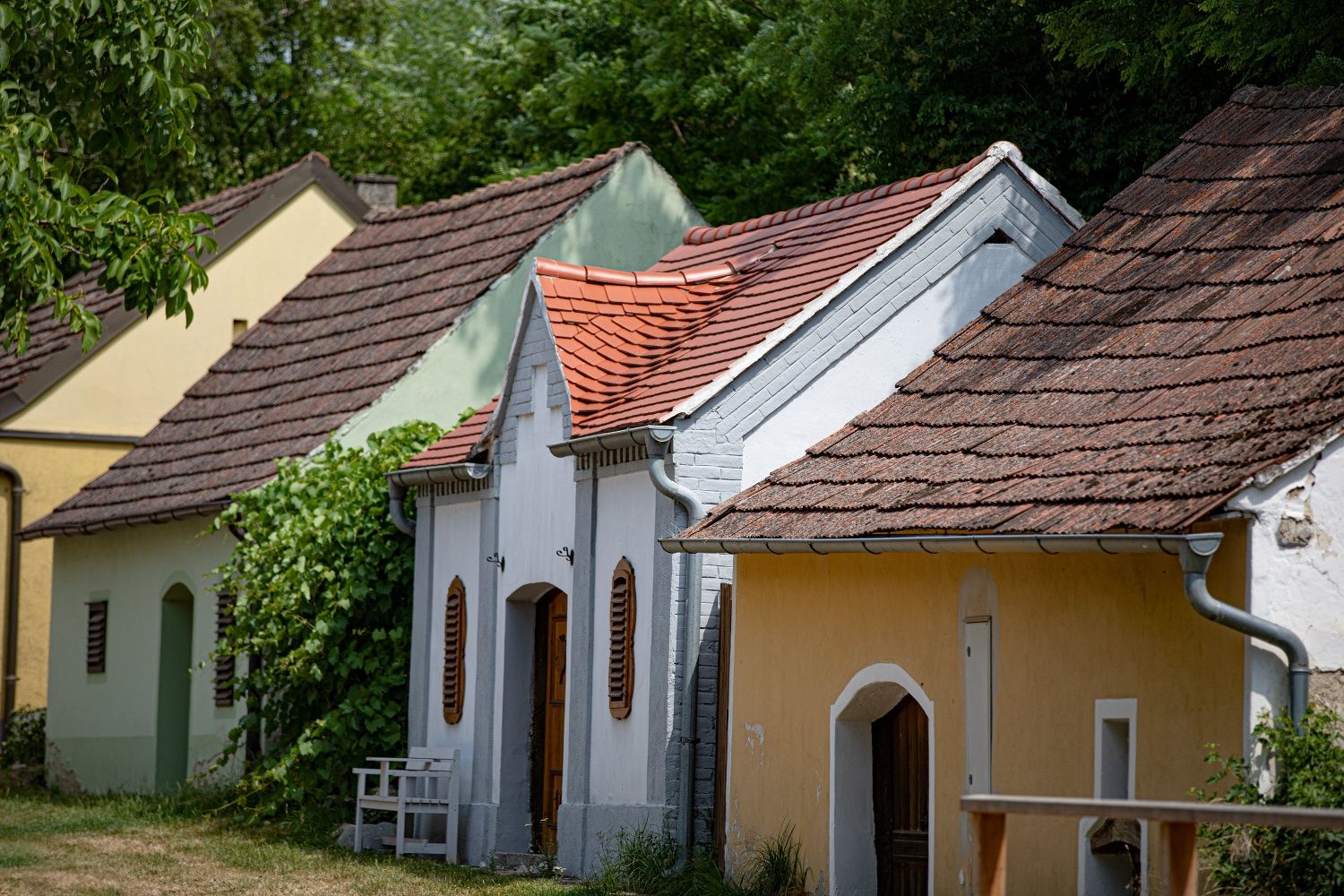 Színes pincesor hagyományos borospincékkel egy csendes, fákkal szegélyezett utca mentén, meleg napfényben.