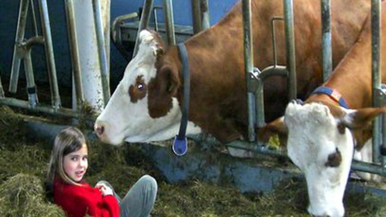 Our cowshed, &copy; Familie Erber