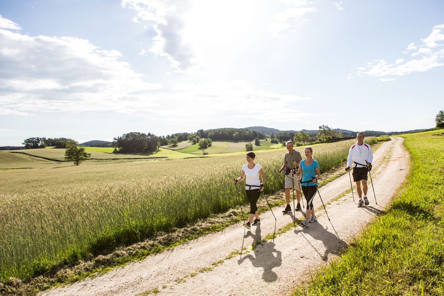 Négy ember nordic walking egy vidéki úton, vidéki tájban.