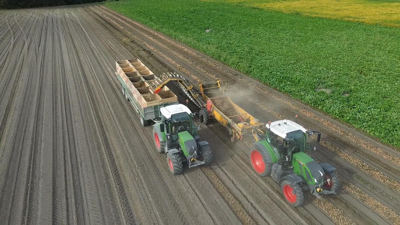 Két traktor arat egy mezőn, az egyik egy ládás pótkocsit húz, a másik egy kombájnt.