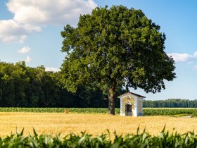 L&ouml;chinger k&aacute;polna, &copy; Wiener Alpen in Nieder&ouml;sterreich