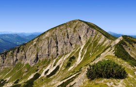 G&ouml;ller, &copy; &Ouml;TK