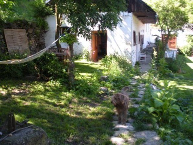 Kert egy kutyával egy kőúton egy fehér ház előtt.