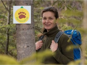 B&auml;rentrail, &copy; &copy; B&Auml;RENWALD, Matthias Schickhofer